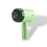 VGR V - 421 - FEN ZA BRADU